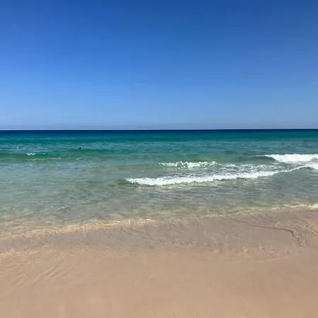 アパート Casa Sonia