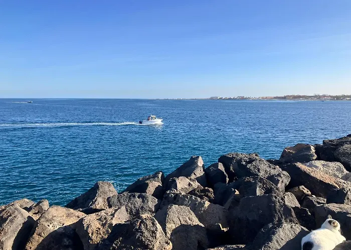 Casa Sonia كوراليهو